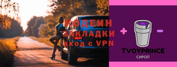 шишки Богородск