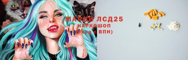 шишки Богородск