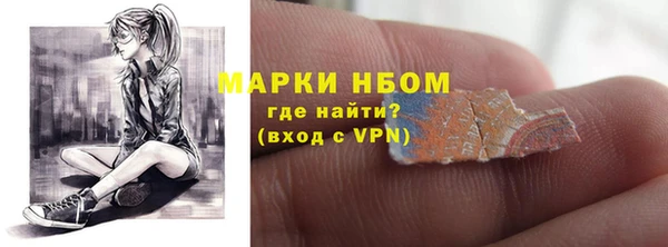 шишки Богородск