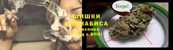 шишки Богородск