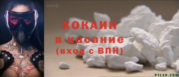 шишки Богородск