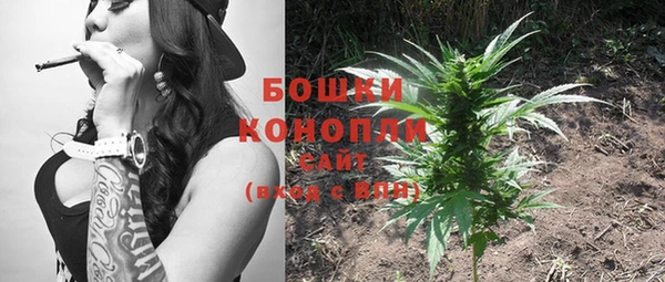 шишки Богородск