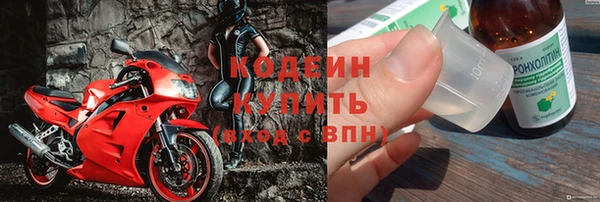 шишки Богородск