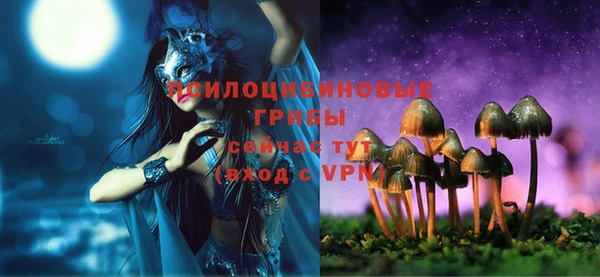 МДПВ Богородицк