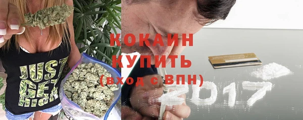мескалин Богданович