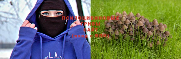 шишки Богородск