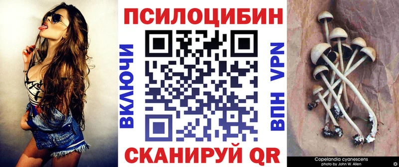 купить наркотики сайты  Южа  Галлюциногенные грибы Psilocybe 